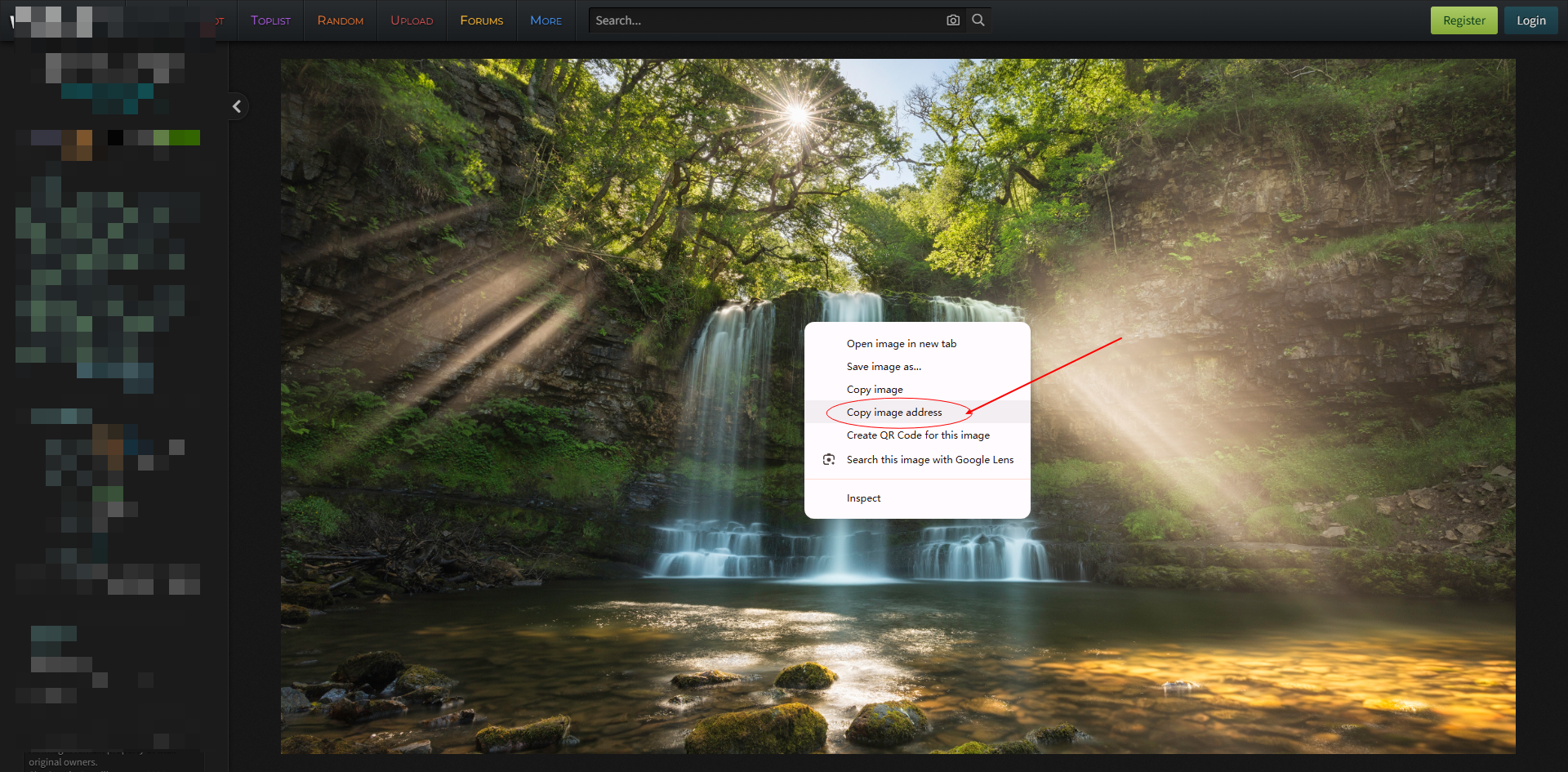 Right-click an image and select Copy image address